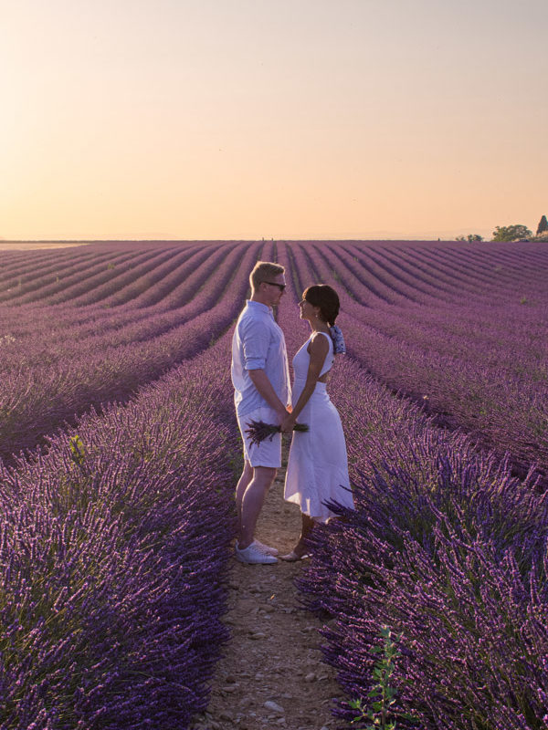 Best lavender fields in Provence
