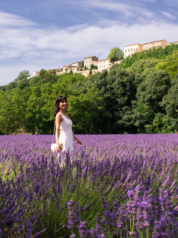 Where to stay to visit Lavender fields in Provence