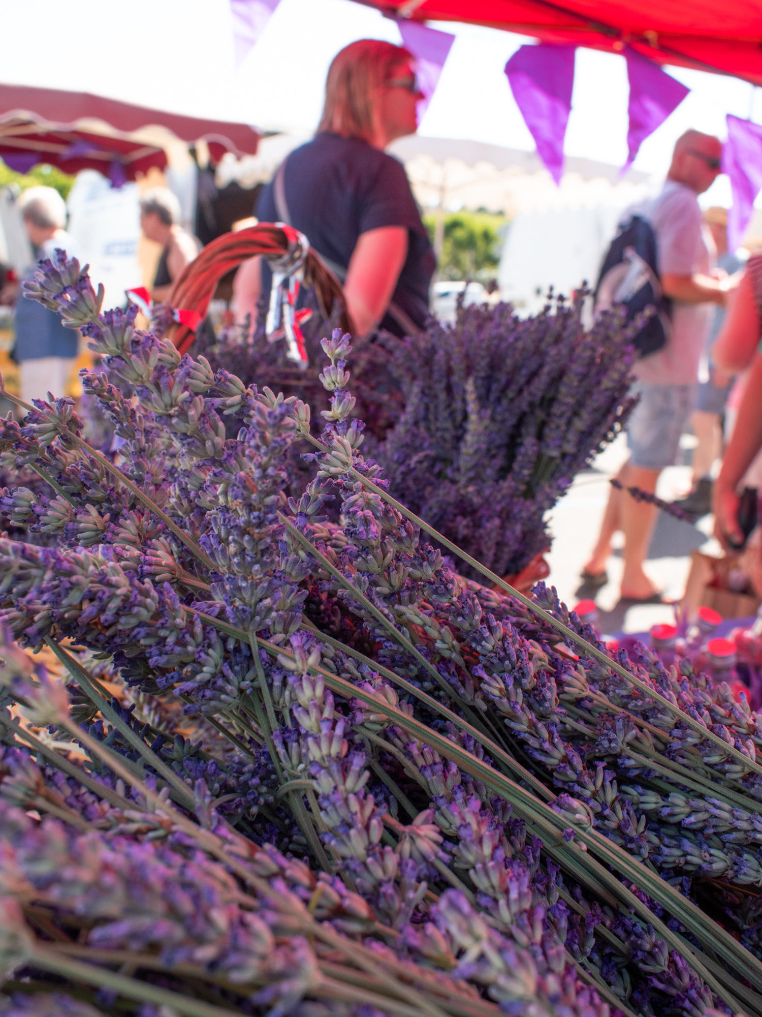 Lavender Festival Apt Provence