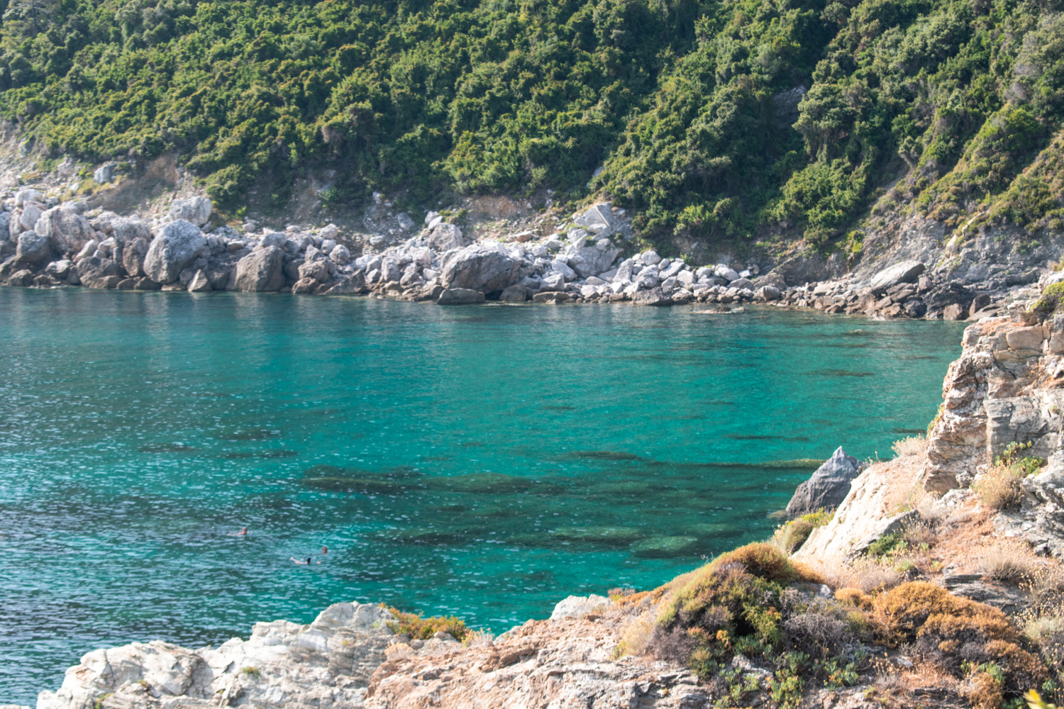 Agios Ioannis Beach Skopelos