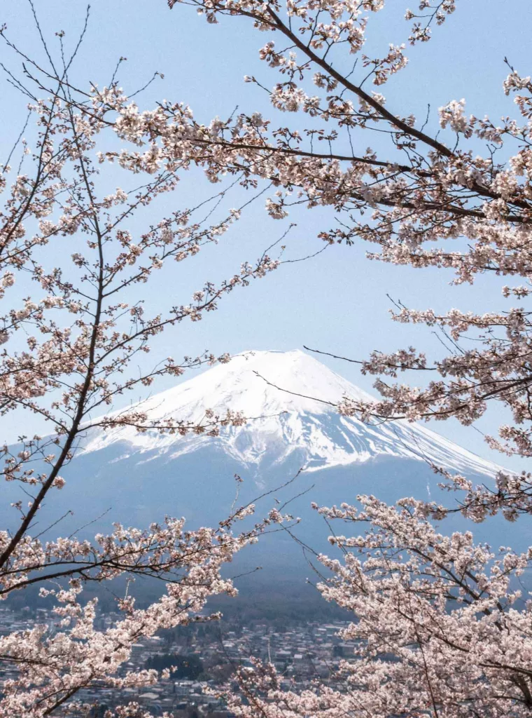 2 weeks cherry blossom itinerary in Japan