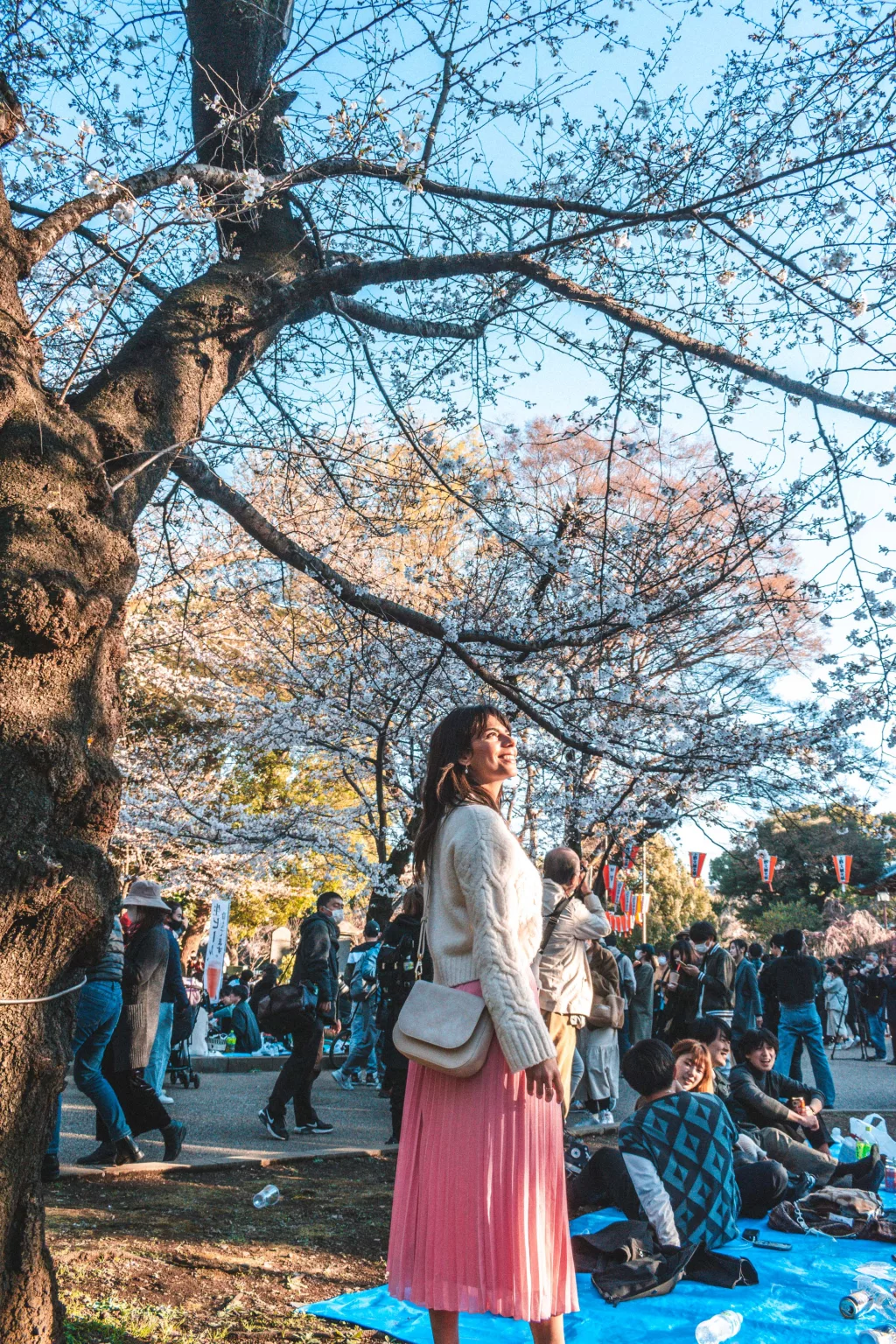 cherry blossoms spots in Tokyo